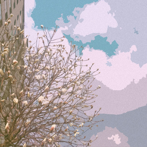 国产精品无码永久免费88
