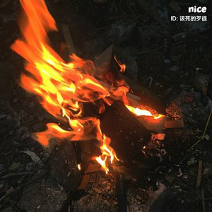 国产精品无码永久免费88
