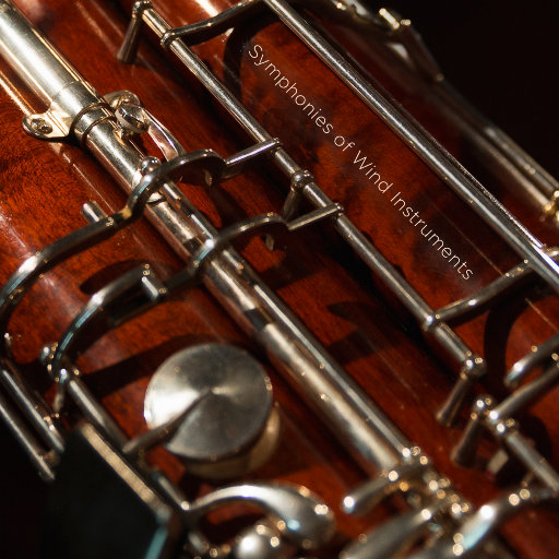 国产精品无码永久免费88
